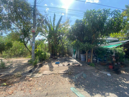 Bán nền sổ hồng 100m² thổ cư đường số 7 KDC Đông Phú, Châu Thành, Hậu Giang 